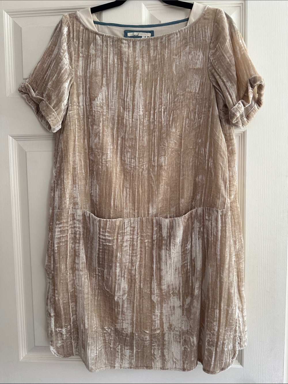Anthropologie Floreat Crushed Velvet Shift Dress in Champagne XS